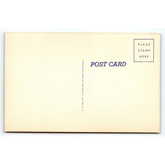 Vintage 1950s Linen Comic Postcard Man & Dog Humor Sayings Quote - Picture 2 of 2